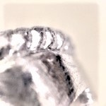 プラチナの縄模様の縁取り。リフォーム